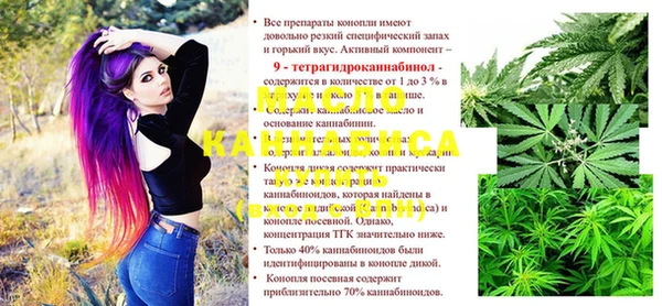 тгк Армянск